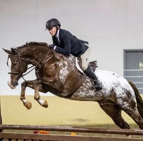 The Jumping Appaloosas – Omaha Equestrian Foundation