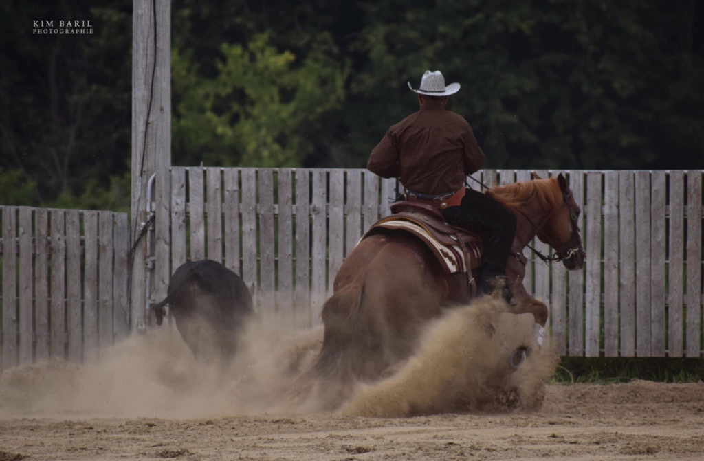 Appaloosa World Show Appaloosa News